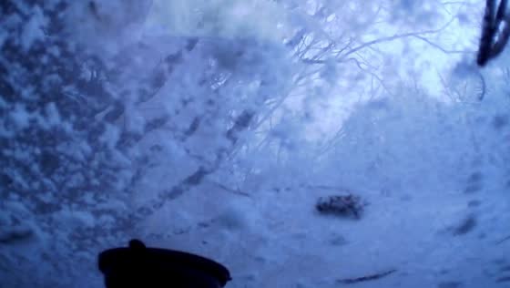 Wrong-way Lexus causes crash on R-23 highway in Luga, Russia