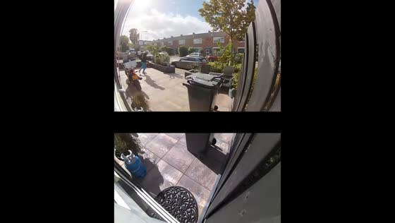 Man startled by snake outside home in Honselersdijk, Netherlands