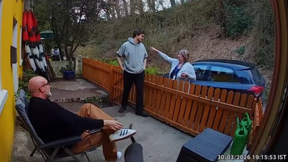 Dog jumps into open box during playful moment outside home in Ireland
