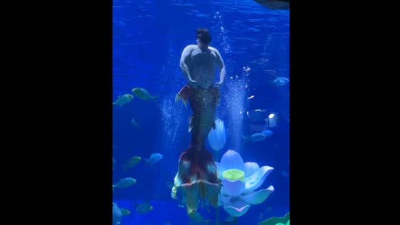 Fat mermaid performance at Jinan Sunac Ocean Park
