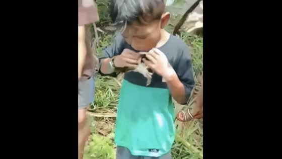 Child's Play Gone Wrong: Boy Gets Clasped by Crab near Gorontalo River