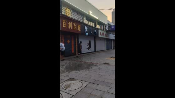 Dog skillfully plays balloon keep-up in Jilin, China