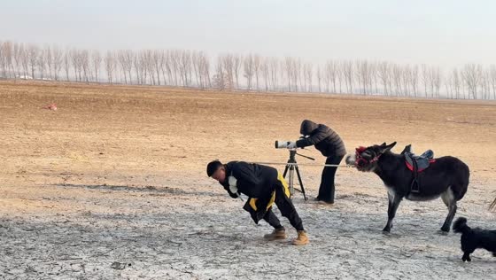 Man battles stubborn donkey while it stays calm in Liaoning, China