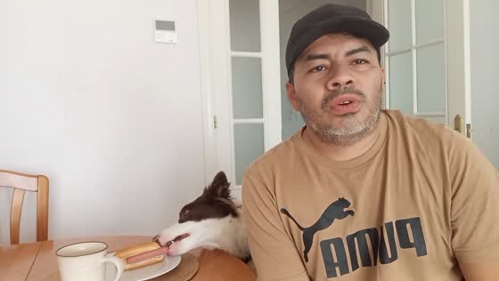 Dog sneaks away with breakfast while owner is distracted in Mascarat, Altea, Spain
