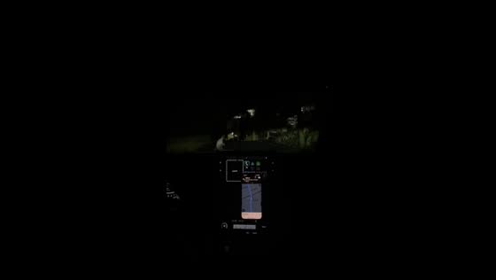 Spooky encounter on Pasipit Road: terrified drivers mistake chilling figure for a ghost!