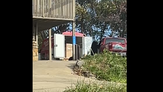 Bear family spotted in Gatlinburg, USA
