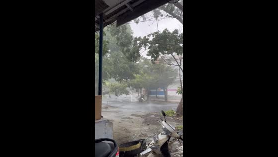 Storm causes fallen tree and tangled cables, leading to accident in Banyuwangi, Indonesia