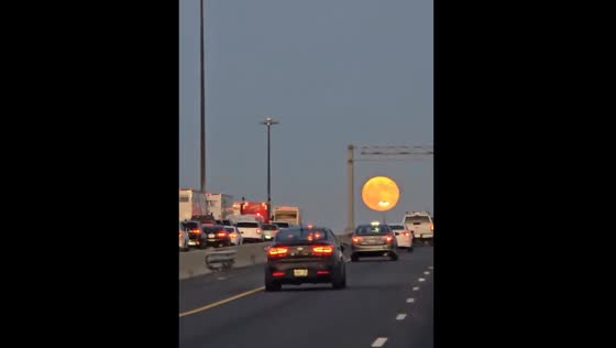 Hunter's moon captured in Toronto