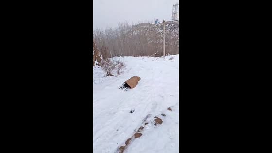 Man playfully pushes wife down snowy slope in Xinjiang, China