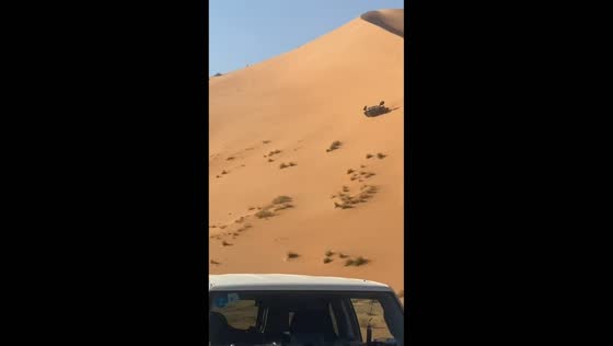 Off-road vehicle gets stuck in sand dune in Riyadh, Saudi Arabia