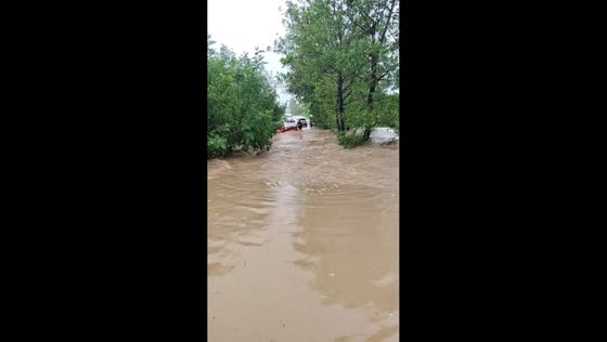 Cargo tricycle swept away by fast-moving floodwaters on road in Henan, China