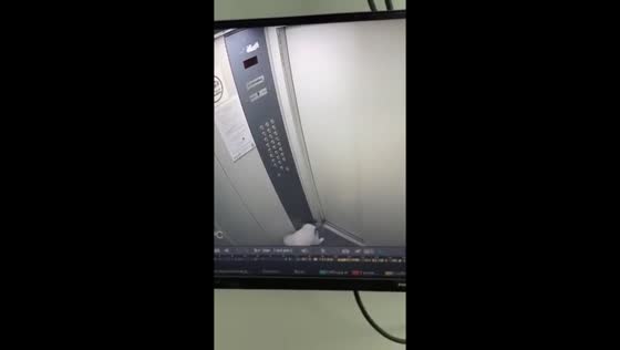 Man loses finger after dog’s leash gets caught in elevator in Samara, Russia