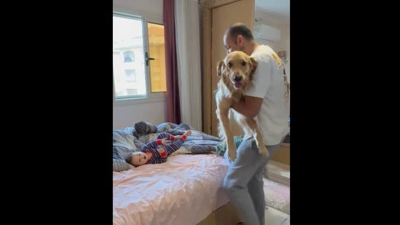 Dog and baby take turns being tossed on bed in Cairo game