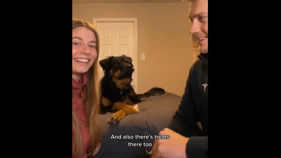 Adorable dog listening to his owner's conversation and get excited if his favorite word is mentioned