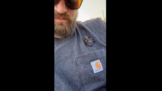 Baby bat takes refuge in shirt pocket in Greenville, SC