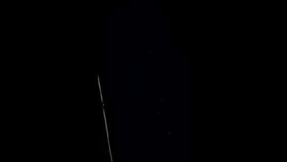 Lyrid meteor shower lights up early morning sky in Bengaluru, India