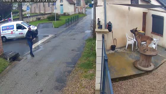 Persistent delivery driver triumphs over fierce guard dog