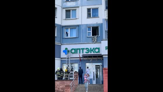 Miraculous rescue: cat safely recovered from perilous heights in Minsk