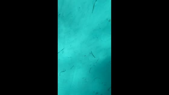 Phone falls into sea during selfie attempt in Mallorca, Spain