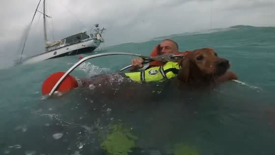 Coast Guard rescues man and dog from disabled sailboat near Sanibel Island, Florida