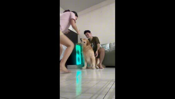 Pet dog entertained by dancing owner while drying its fur in Olongapo, Philippines