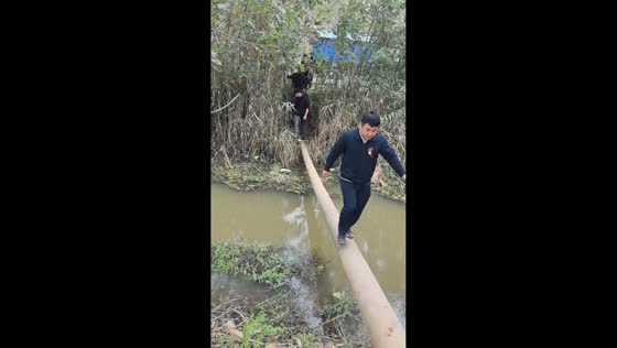 People cross flooded river on hanging pipe in Jiangsu, China