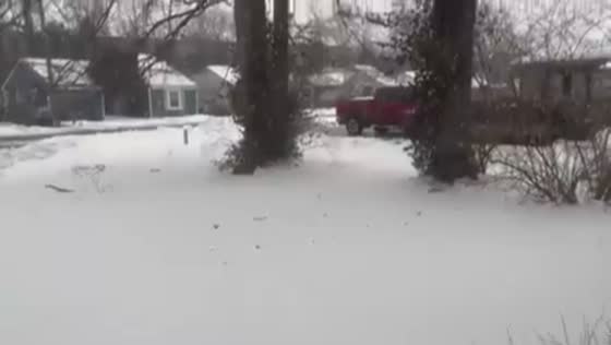 Heavy wet snowfall in St. Matthews, Kentucky, USA