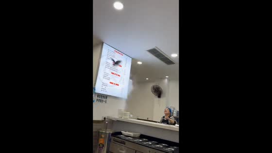 Pigeon crashes into restaurant and falls into boiling container in Shaanxi, China