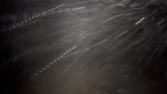 Band of snow moving through Evergreen, Colorado, USA