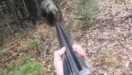 Hunter spares mother bear and cubs during tense forest encounter in Russia