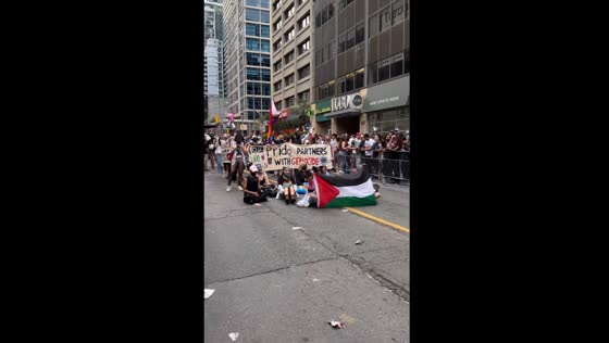 Pro-Palestine protesters block Toronto Pride March route amid ongoing Gaza conflict