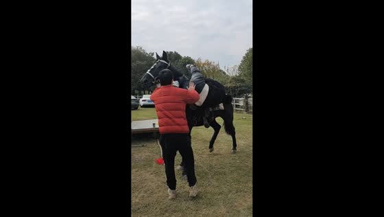 Horse mounting attempt goes wrong in Sichuan, China