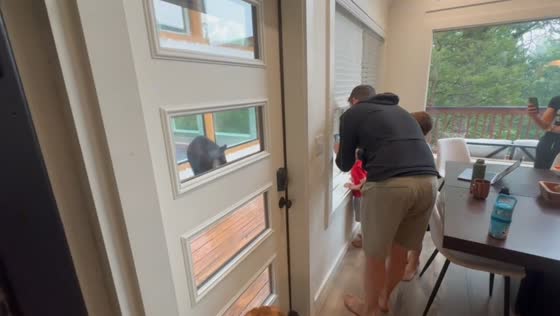 Curious bear approaches home in Sevierville, Tennessee, USA
