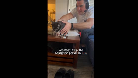 Video shows amputee cat moved safely from table to couch in NYC