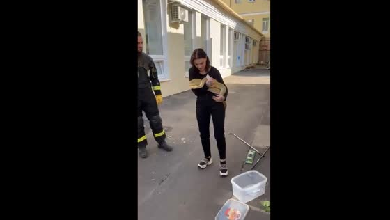Python escapes terrarium, found sleeping on neighbor's toilet in Moscow