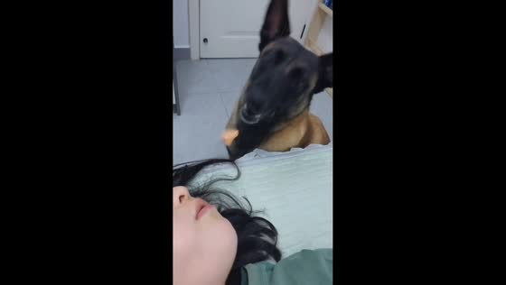 Dog skillfully catches sausage in Anhui, China
