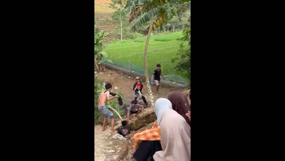 Person falls from broken paw paw tree in Indonesia