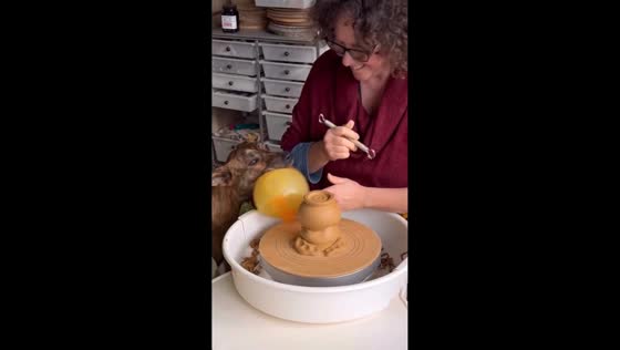 Dog discovers pottery wheel turns toy into spinner in Rotorua, New Zealand