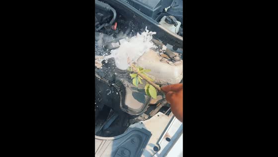 Car engine overheats and sprays coolant in Bucuresti, Romania