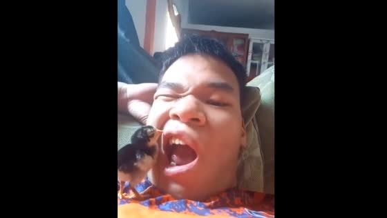 Chick unexpectedly jumps into man’s mouth in Bogor, Indonesia