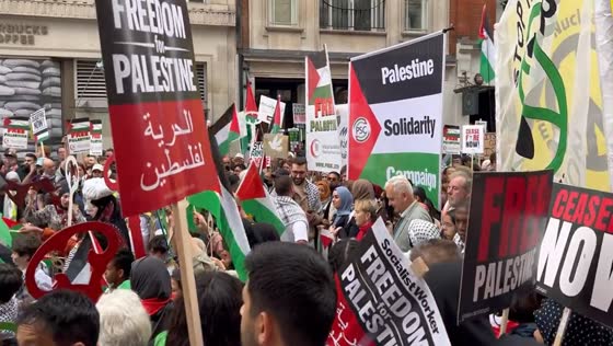 London protests: crowds march in solidarity with Palestine amid Israel-Gaza conflict