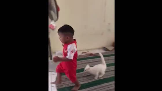The boy was scared of the kitten that chased him!
