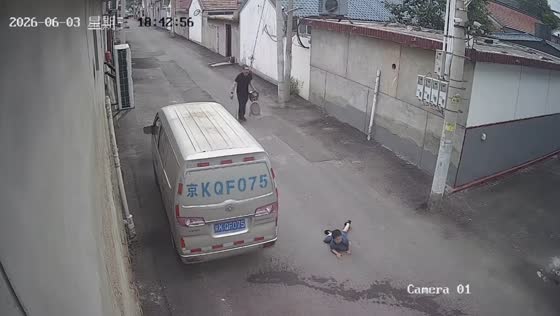 Boy trips while chasing dog on leash in Beijing, China