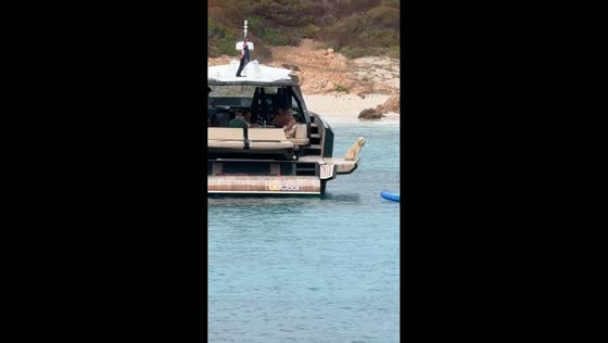 Dog relaxes on yacht in Sassari, Italy