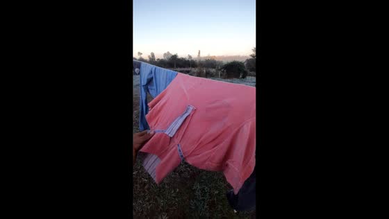 Frozen clothes turn solid in cold snap in Fernando de la Mora, Paraguay