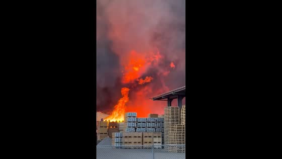 Massive fire destroys pallet facility in Lelystad, Netherlands