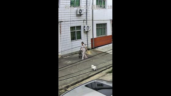 Dog takes woman's chair and sits down instead in Anhui, China