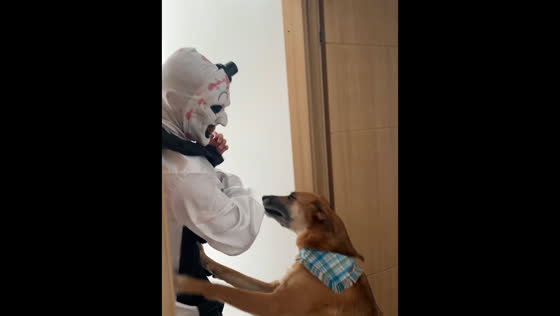 Dog reacts unexpectedly to scary clown costume