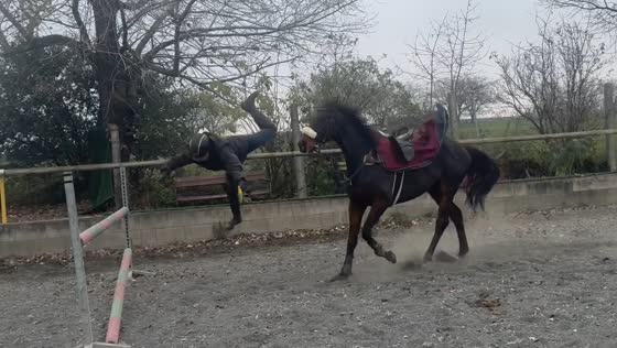Horse rider falls during jump training in Bratislava