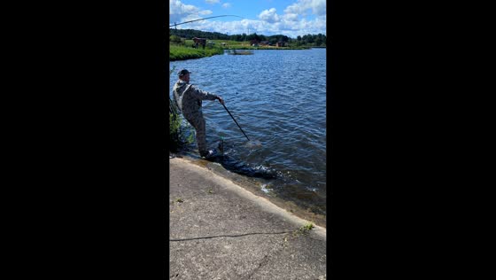 Man slips twice while trying to catch fish at lakeside in Dorogovo, Belarus
